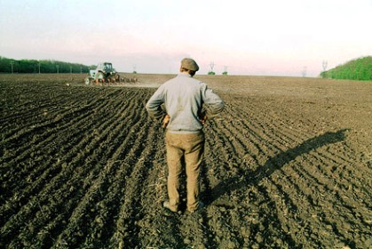 Херсонские фермеры предлагают продавать землю не ранее 2015 года