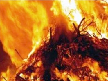 В Ивановском районе неизвестные спалили сенник с 2 тыс. тюков соломы