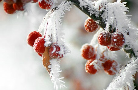 В Херсоне до конца недели будет морозно, возможны снег и гололед
