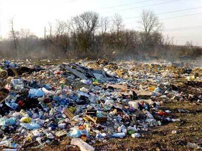 В январе нарушители экологического законодательства нанесли вред окружающей среде почти на 3 млн. грн.