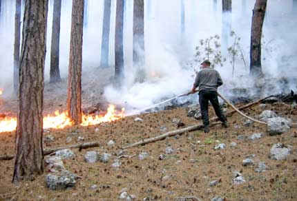 Возле Цюрупинска сгорело еще 4 га леса