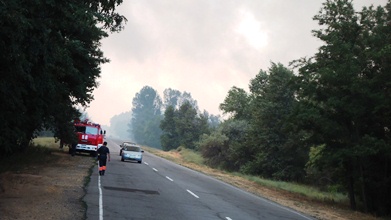 Милиция до сих пор патрулирует зону пожарищ в лесах Херсонщины