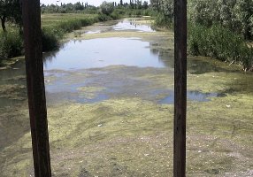 На реке Каланчак проведут гидро-экологическую экспертизу - ОГА