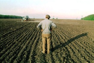 Херсонских фермеров губит хороший урожай и предвыборные обещания