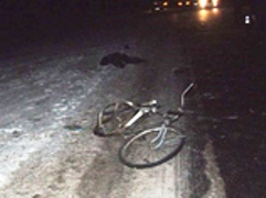 В Геническом районе насмерть сбили велосипедиста