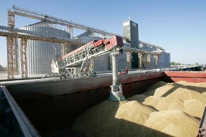 Зернотрейдеры грузят зерно в Херсонском морпорту сверх установленных правительством квот