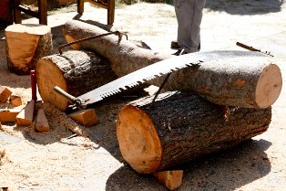 Херсонцам предлагают самим пилить деревья, в обмен на древесину