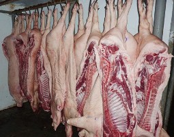 На Херсонщине производство мяса растет, а молока - снижается