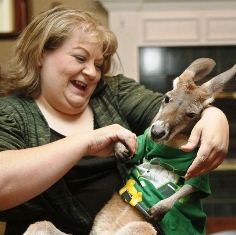 Херсонцы могут купить в интернете кенгуру и домашних скунсов