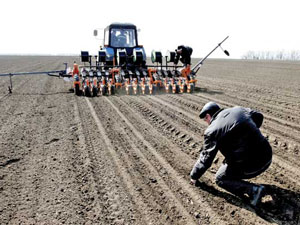 Херсонские аграрии уже намолотили 1,2 млн. тонн зерновых