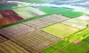 С начала года аграриям Херсонщины возместили более 1 млн грн