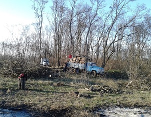 Прокуратура уже взяла под контроль расследование незаконной порубки леса возле Новой Каховки