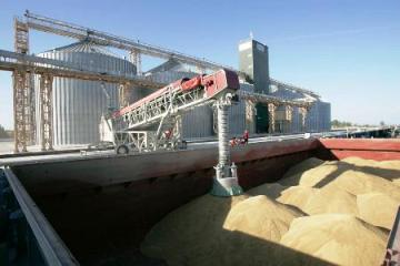 Правительство заботится о зерновом рынке - вице-премьер Вилкул