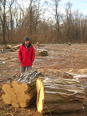В Скадовском районе будут патрулировать лесополосы для защиты от порубки