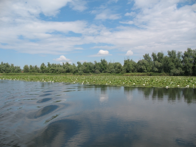 Херсонская ОГА направила в Минэкологии проект создания национального природного парка «Нижнеднепровский»