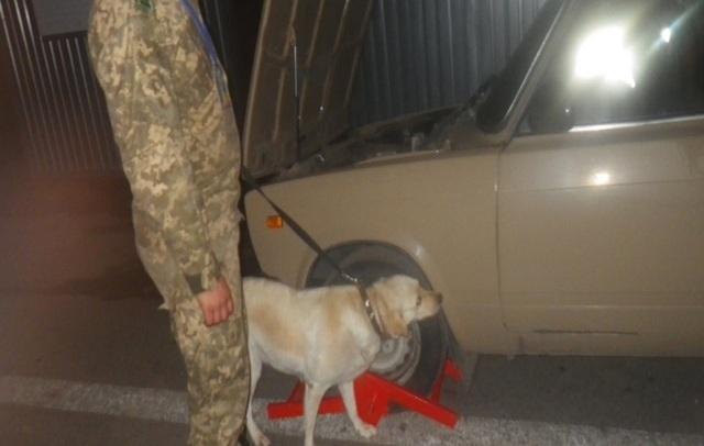 На админгранице с Крымом служебная собака нашла наркотическое вещество