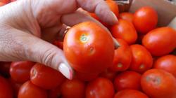 Оккупанты не пустили в Крым херсонские помидоры