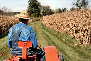Херсонским аграриям обещают компенсацию ставки по кредитам