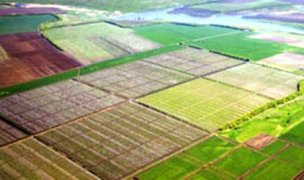 Около 27 млн. гривен оплачено за аренду земель запаса и резервного фонда сельхозназначения на Херсонщине
