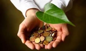 Херсонские бизнесмены отдали 4,9 млн грн на сохранение окружающей среды