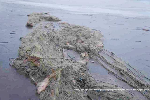 Пограничники задержали на Азовском море браконьера с уловом на 105 тыс. гривен