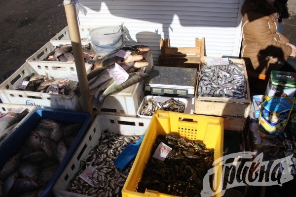 На Центральном рынке Херсона рейдовая группа изъяла 35 кг браконьерских раков
