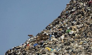 Херсону угрожает "мусорное нашествие"