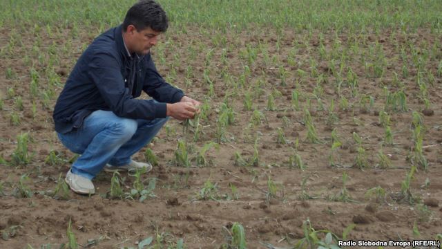 Фермеры Херсонщины опасаются срыва оросительного сезона из-за отключения крымской подстанции