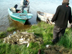 Херсонрыбохрана задержала в Каховском водохранилище браконьера с уловом более 10 тыс. грн.