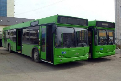 В Олешковском районе решили компенсировать транспортникам перевозку льготников