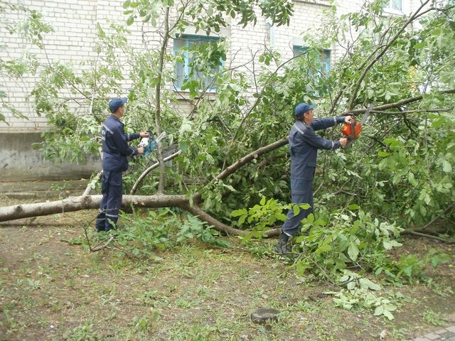 В Каланчаке второй день убирают деревья, поваленные ураганом