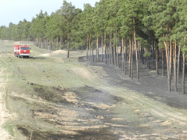 В Раденском лесничестве низовой пожар леса - горит почти 5 га