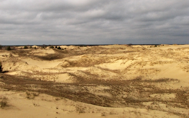 Пустыню «Олешковские пески» сняли с высоты птичьего полета