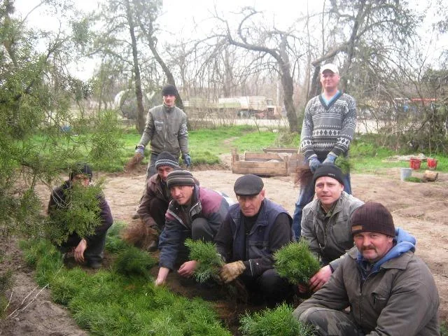 В Голопристанском лесничестве планируют засадить лесом 140 га земель