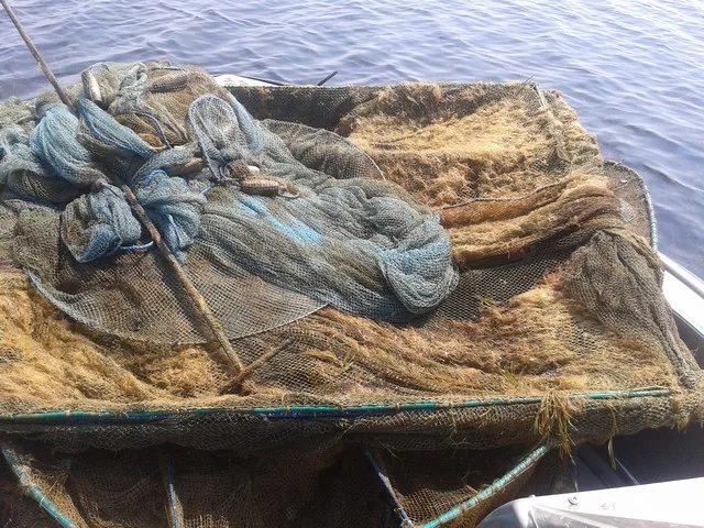 На Тендровской косе нашли браконьерские ятеря