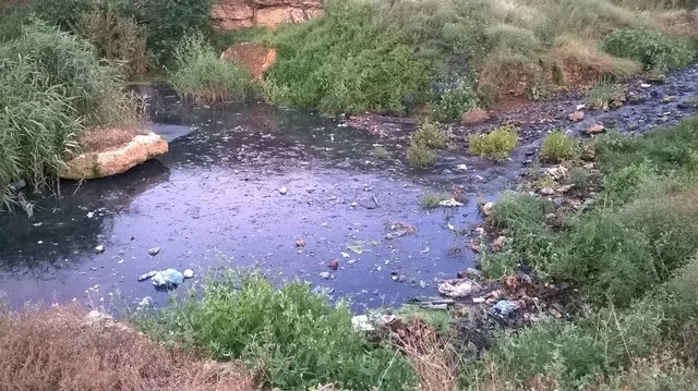 В пригорде Херсона можно наткнуться на гору костей