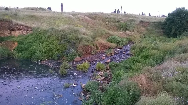 В пригорде Херсона можно наткнуться на гору костей