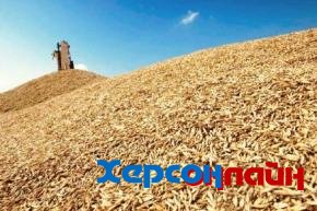 СБУ разоблачило на Херсонщине нелегальное зернохранилище с запасом зерна на 43 млн. грн.
