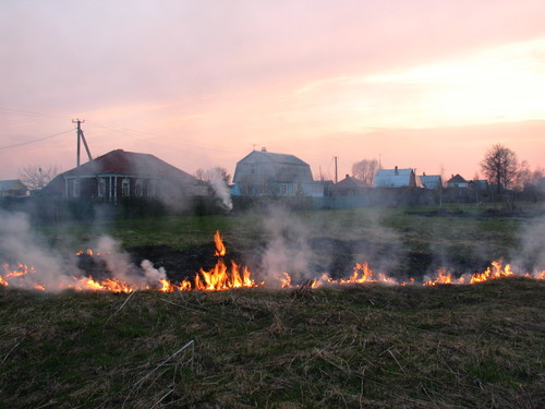На выходных в Херсонской области сгорело 38 га сухостоя