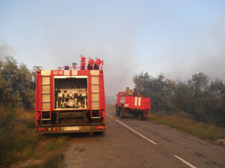 Лесной пожар в Голопристанском районе ликвидирован