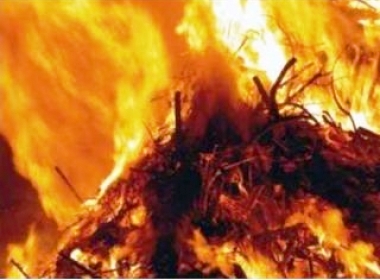 В Куйбышево за одну ночь трижды горело сено