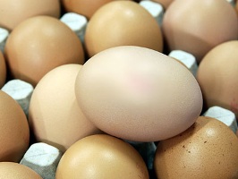 В Херсонской области в сентябре более всего дорожали яйца и масло, а дешевели – сахар, овощи и фрукты