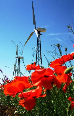 Херсонские землеустроители подготовили материалы по отводу земли для строительства ветроэлектростанций