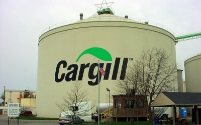 Костяк хочет, чтобы «Каргилл» перерабатывал почти 100% херсонского подсолнечника