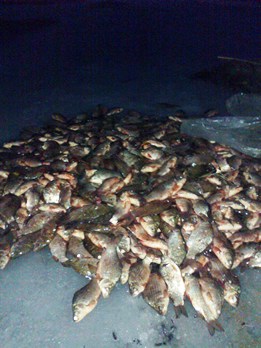 Рыбалка на Кардашинском лимане обошлась трем рыбакам из Цюрупинска почти в 10 тыс. грн.