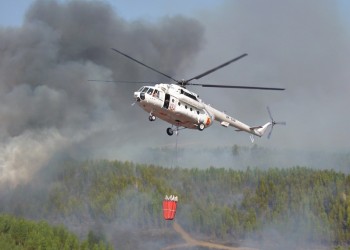 В Цюрупинском районе сгорело 5 га леса