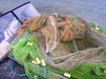 В Черном море пограничники задержали браконьеров с уловом креветки и краба на 275 тыс. грн.