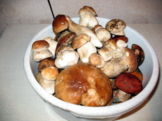 В Чаплынском районе семья из 4 человек отравилась грибами