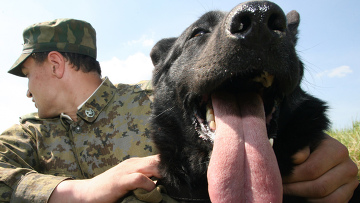 Булюк договорился с пограничниками о привлечении служебных собак для поиска контрабанды