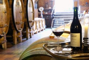 Херсонские виноделы за полгода пополнили госбюджет почти на 35 млн. грн.